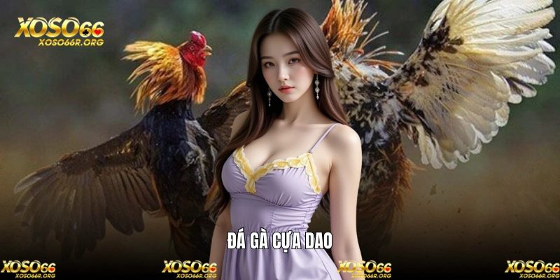 Đá gà XOSO66 - Sảnh soi kèo chiến kê hấp dẫn nhất châu Á 3 Chọi kê cựa dao được yêu thích trên nhà cái rất dễ chơi